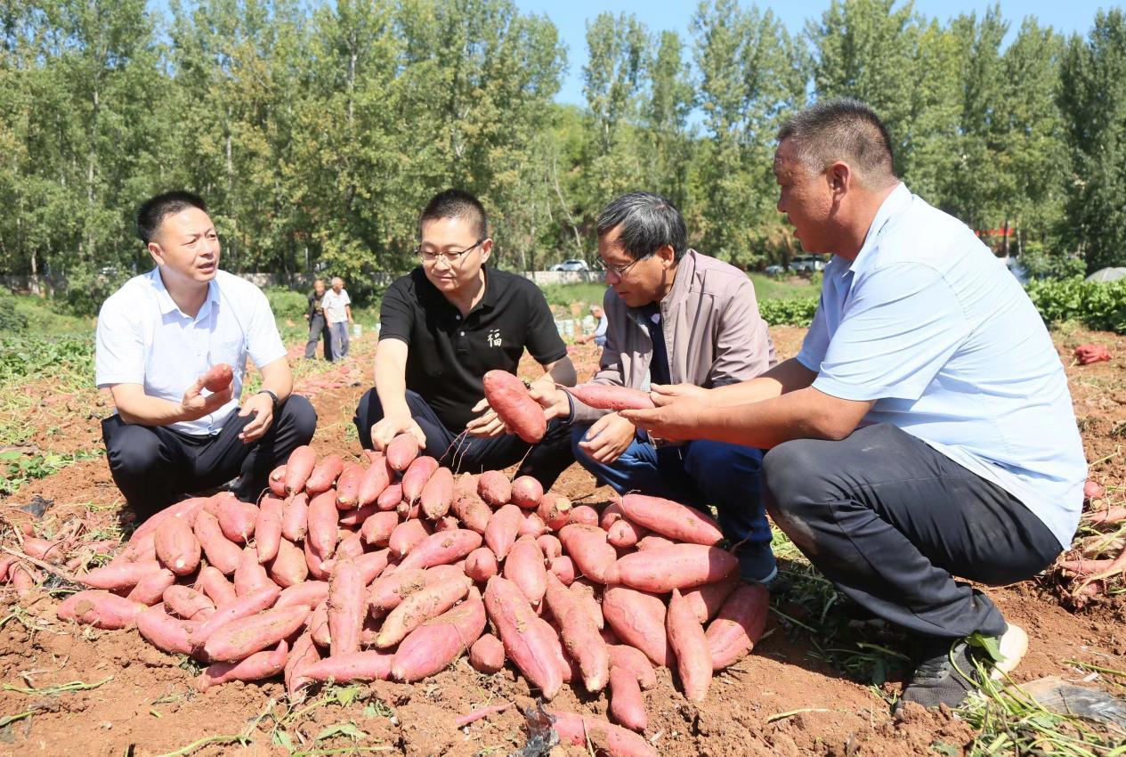 河南省富硒产品