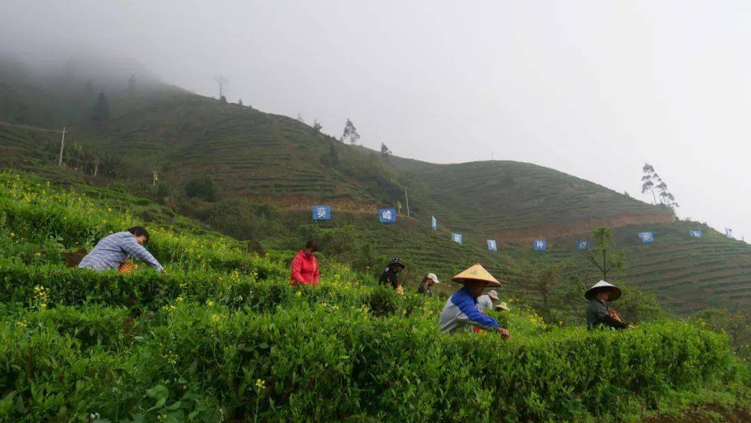 高山富硒农产品