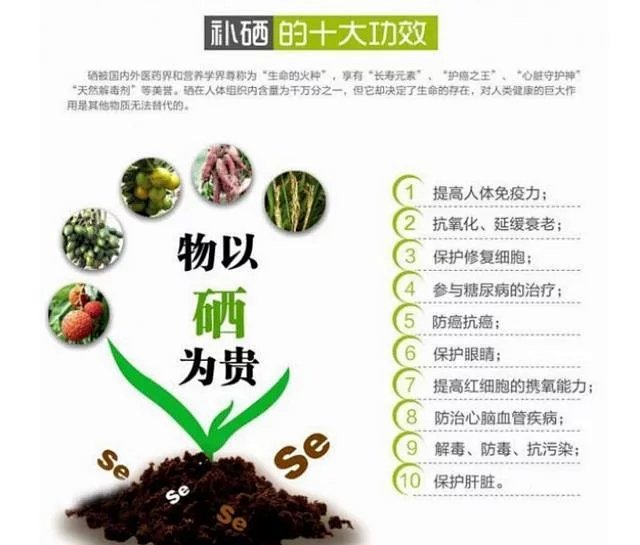 富硒茶包装分析