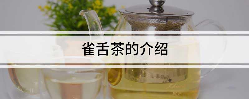 维竹富硒雀舌茶