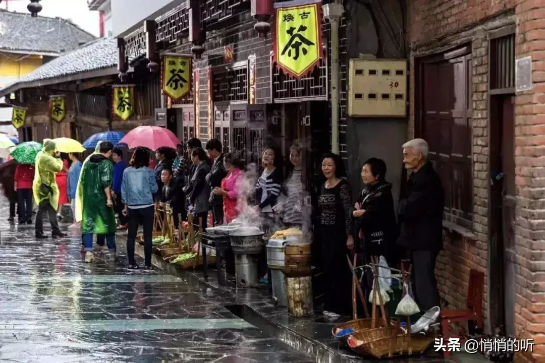 秋茶紫阳富硒茶