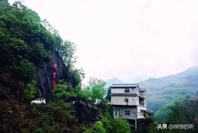 秋茶紫阳富硒茶