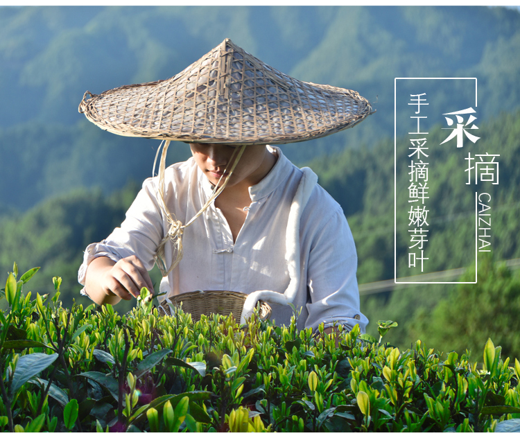 清明富锌富硒茶