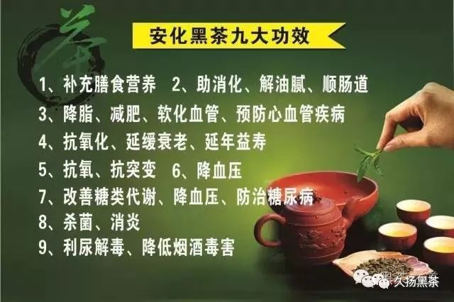 安化黑茶富硒茶