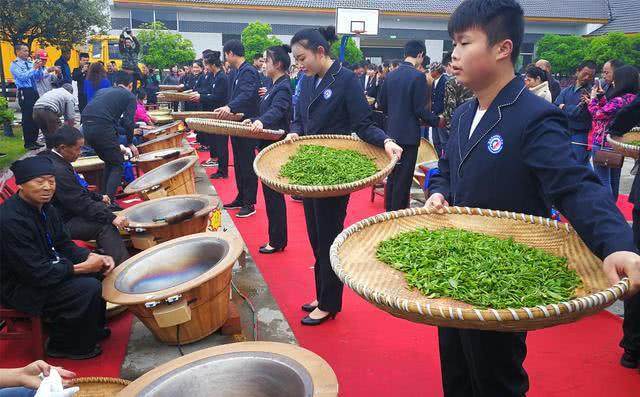 原生富硒茶黄茶