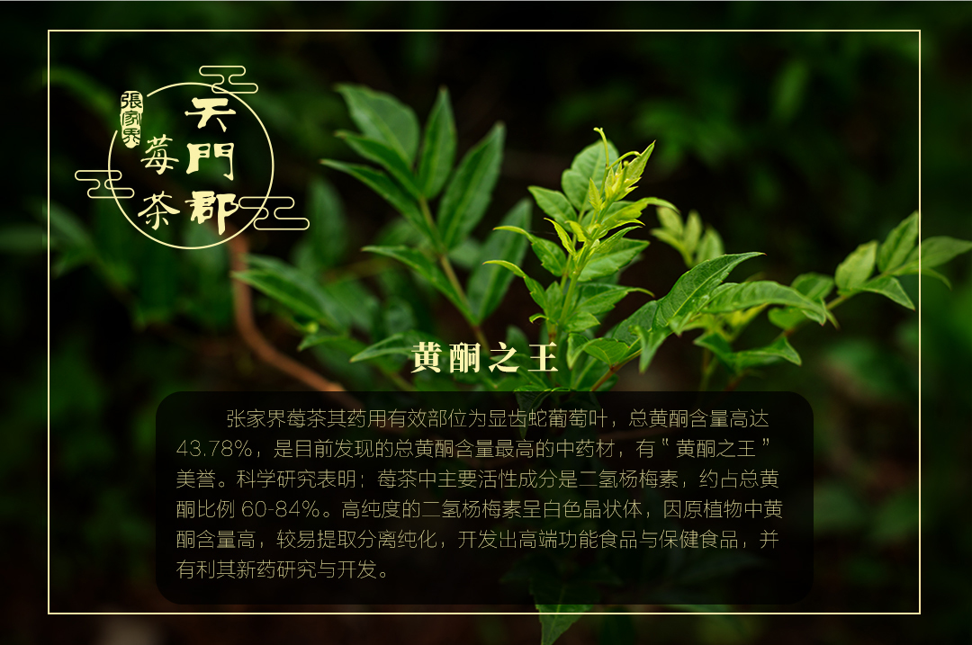 富硒藤茶可含硒