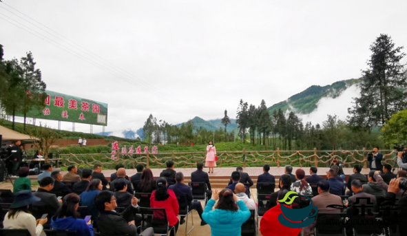 第二届陕西网上茶博会开幕 首推镇巴高山有机富硒茶