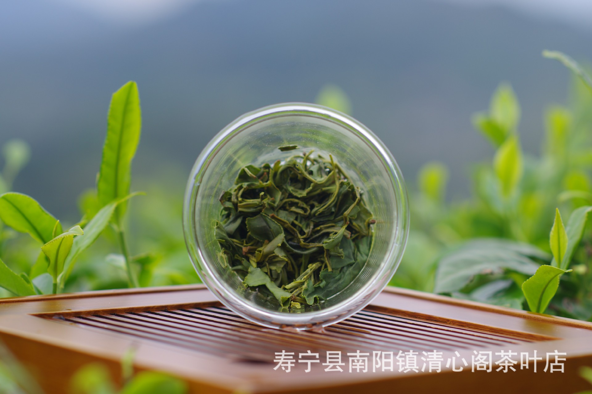 中国高山富硒茶