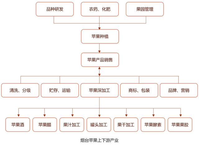 富硒茶品牌建设