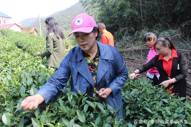 富硒茶口感区别