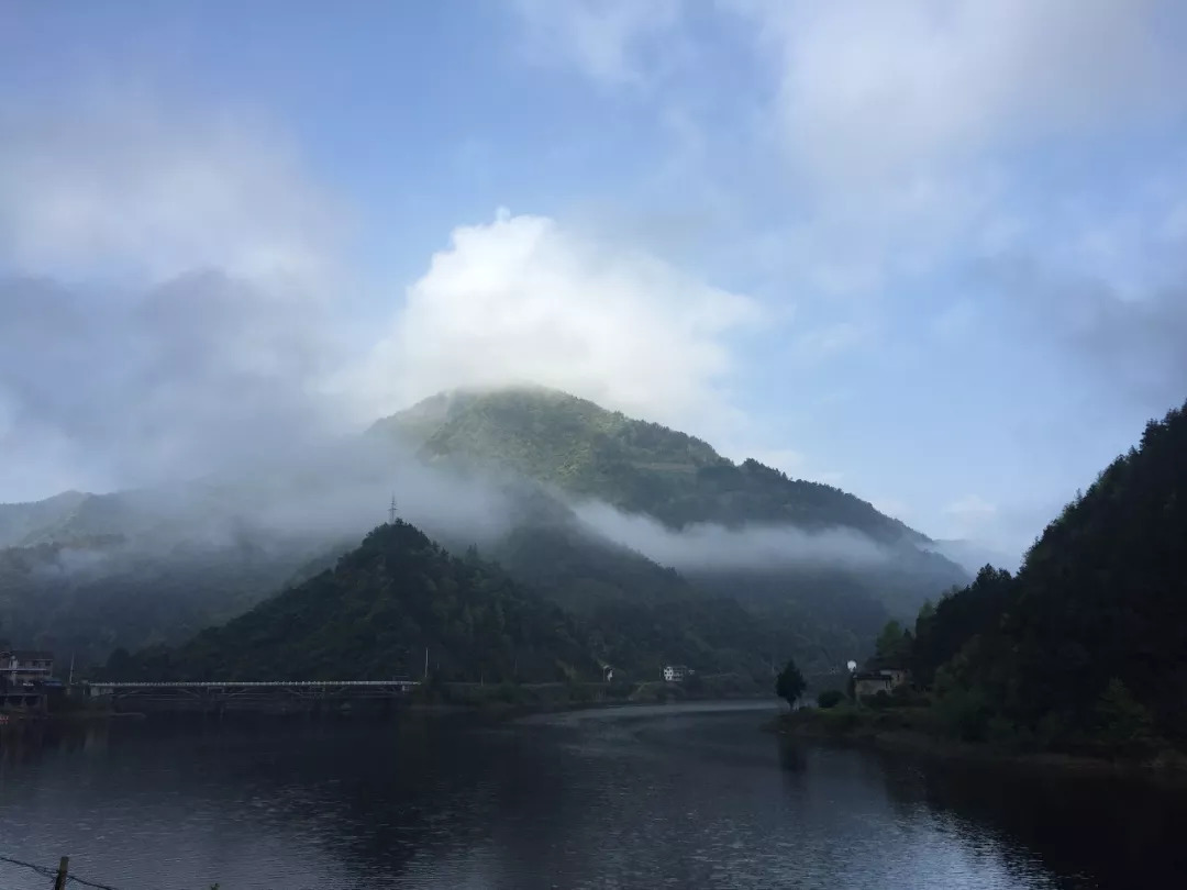 赞美恩施富硒茶