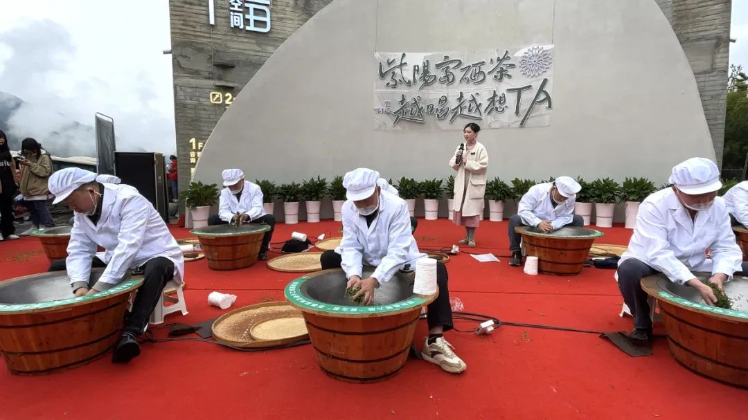 紫阳富硒茶背景