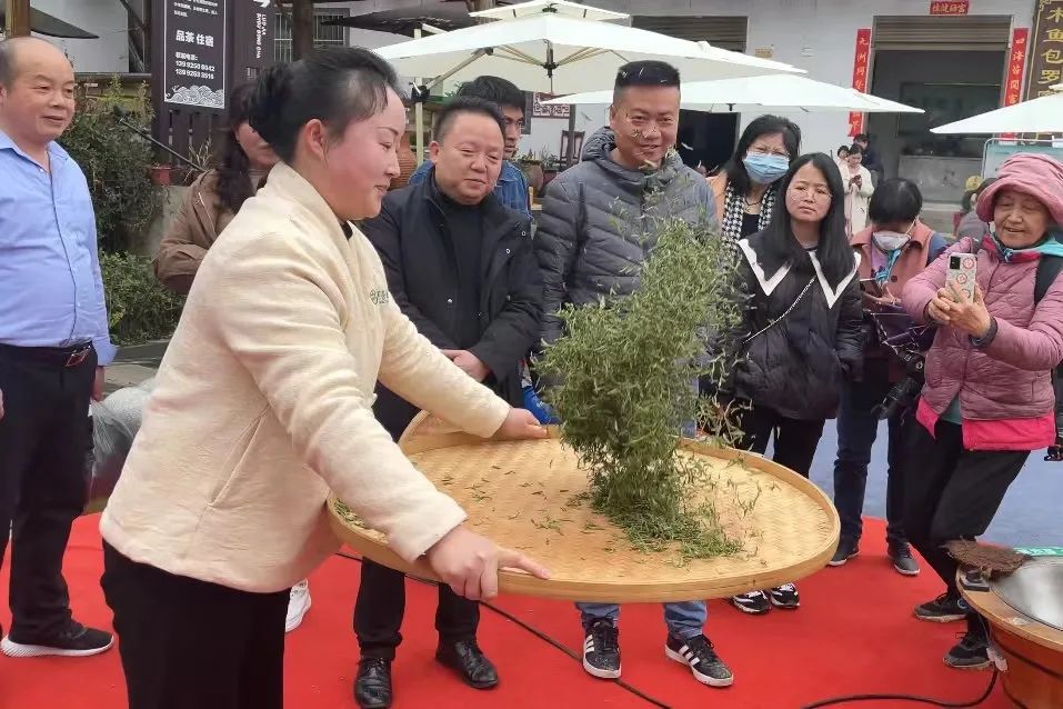 紫阳富硒茶背景