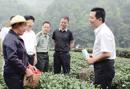 紫阳富硒茶产量