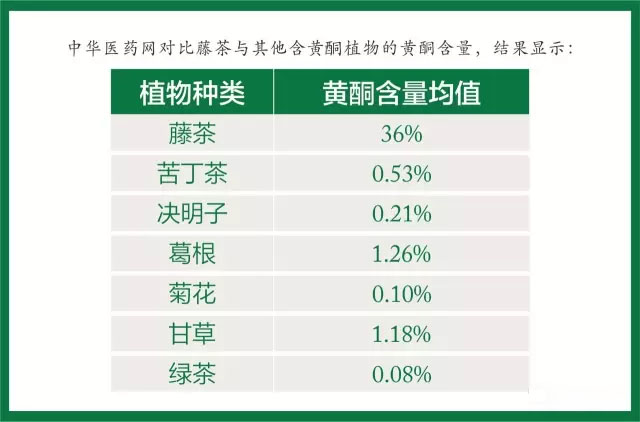 叫茶不是“茶”，藤茶为什么比普通茶叶更受欢迎？