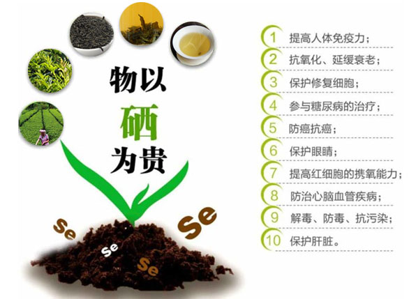 叫茶不是“茶”，藤茶为什么比普通茶叶更受欢迎？