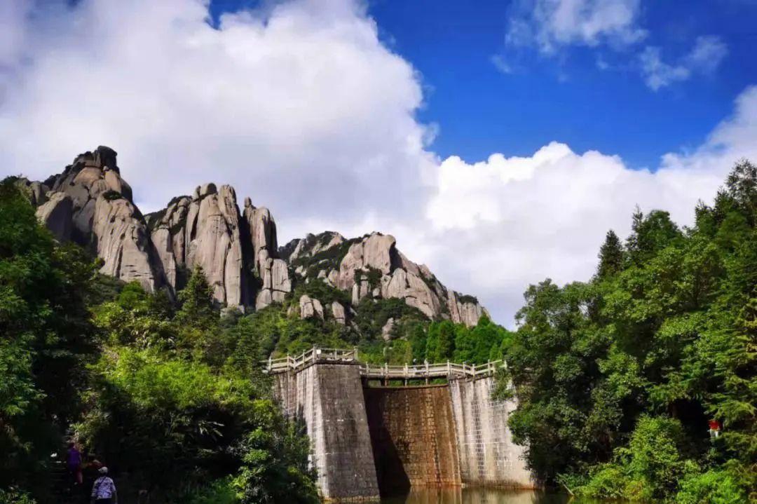 高山生态富硒茶