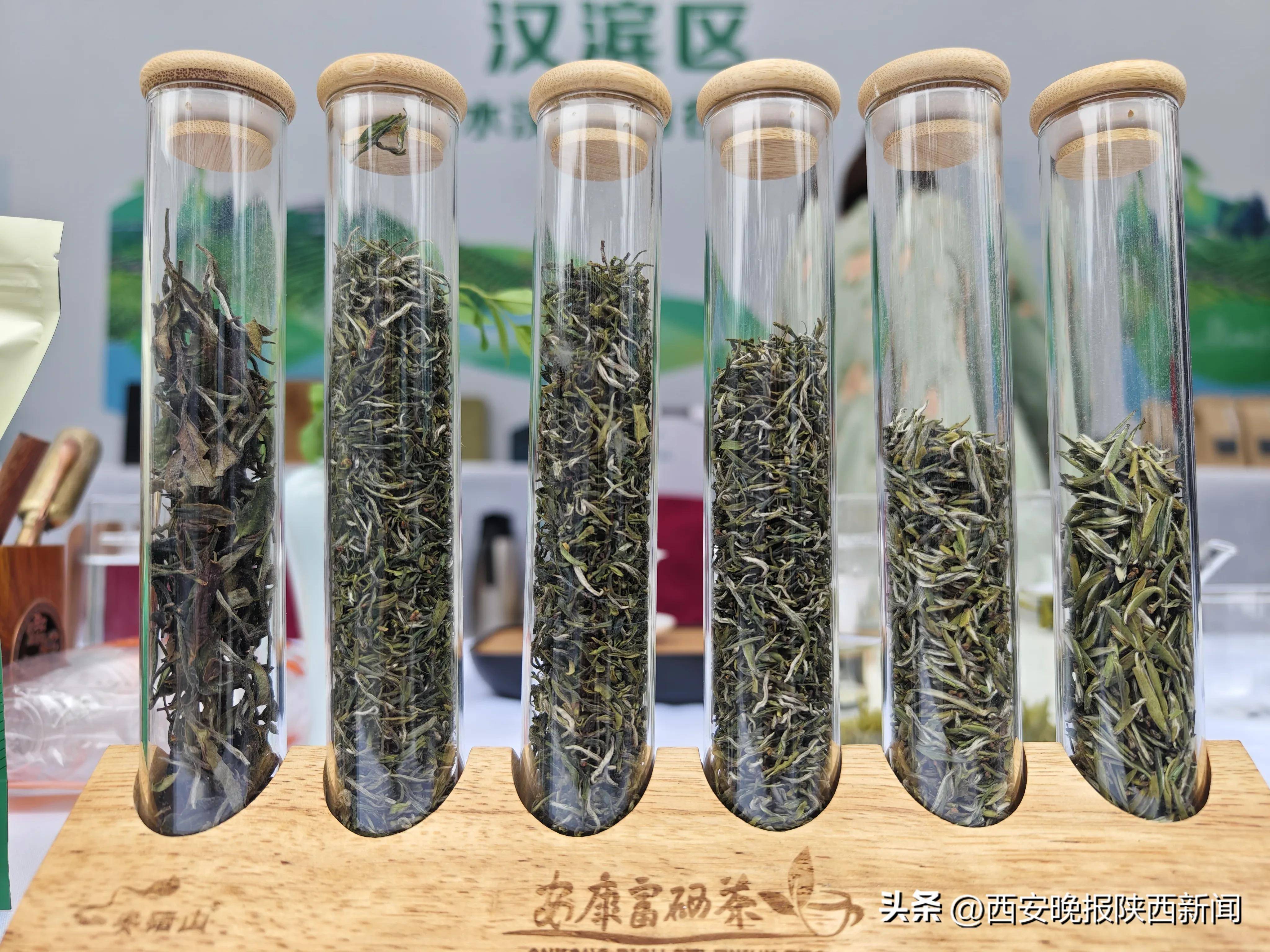 健康富硒生态茶