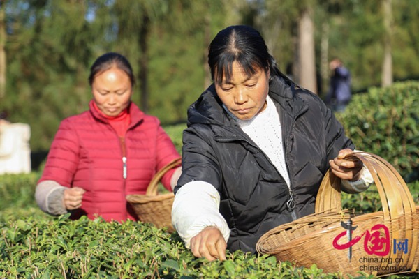 富硒茶企业标准