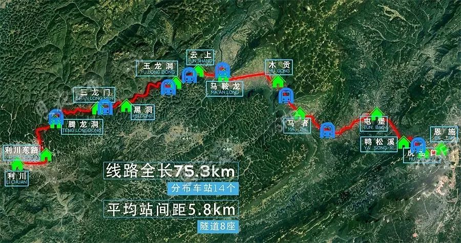 富硒茶恩施利川