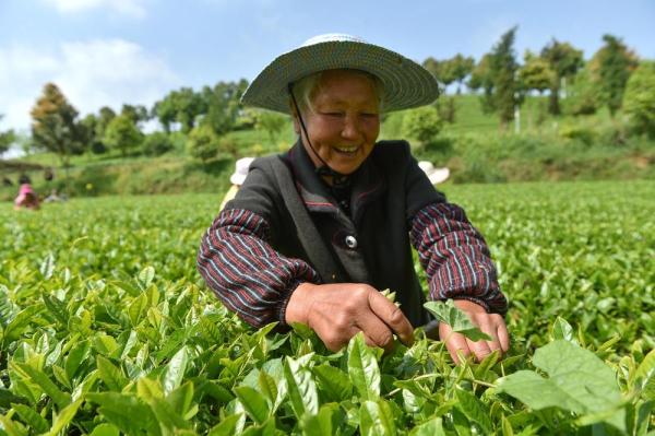 贵州开阳：念好“硒字经” 打响“富硒牌”