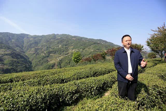 汉水晨雾富硒茶