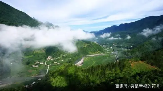 泾阳富硒茶功效