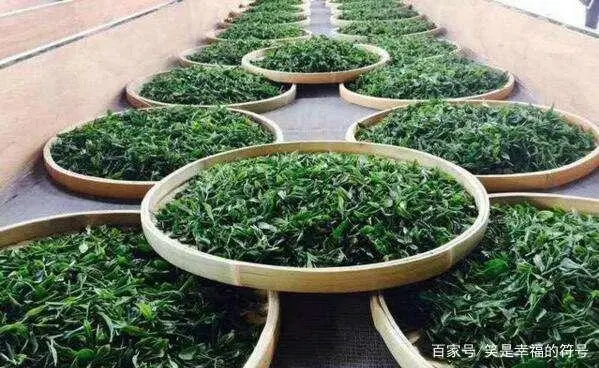 泾阳富硒茶功效