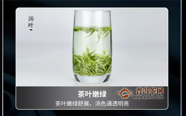 紫阳富硒茶的禁忌