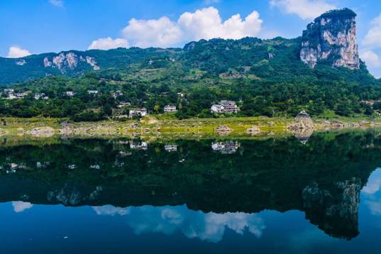 贵州高原富硒茶