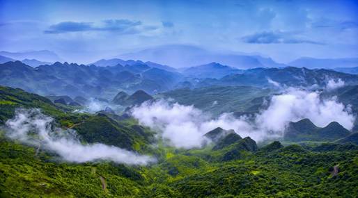 贵州高原富硒茶