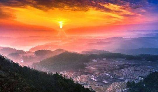 贵州高原富硒茶