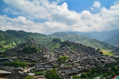 贵州高原富硒茶