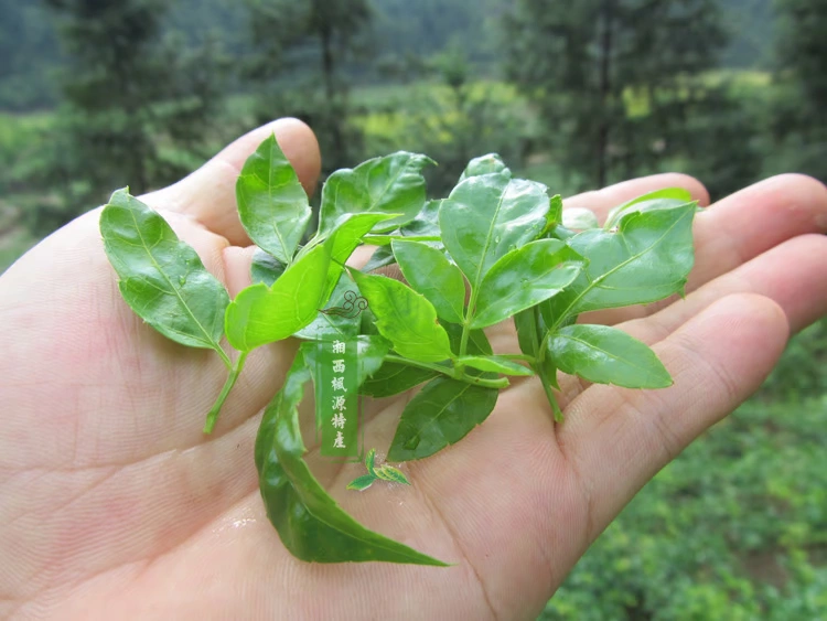 富硒女娲茶价位