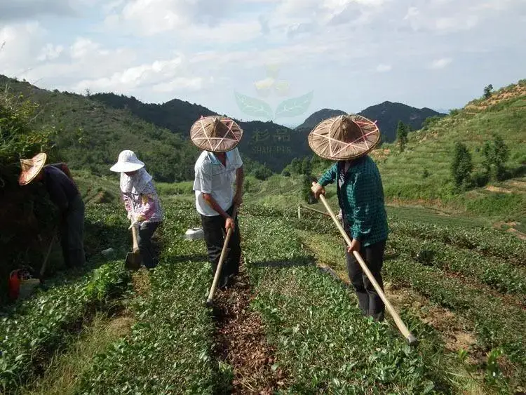 富硒茶地方标准