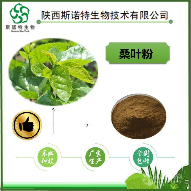 富硒蛋白桑叶茶