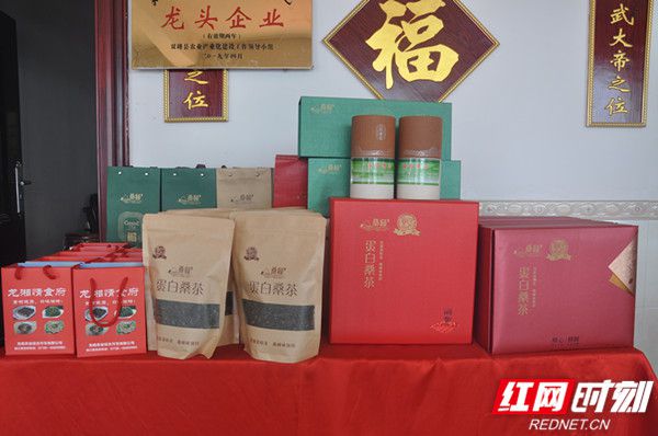 富硒蛋白桑叶茶