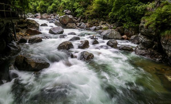 紫阳富硒茶蓝色