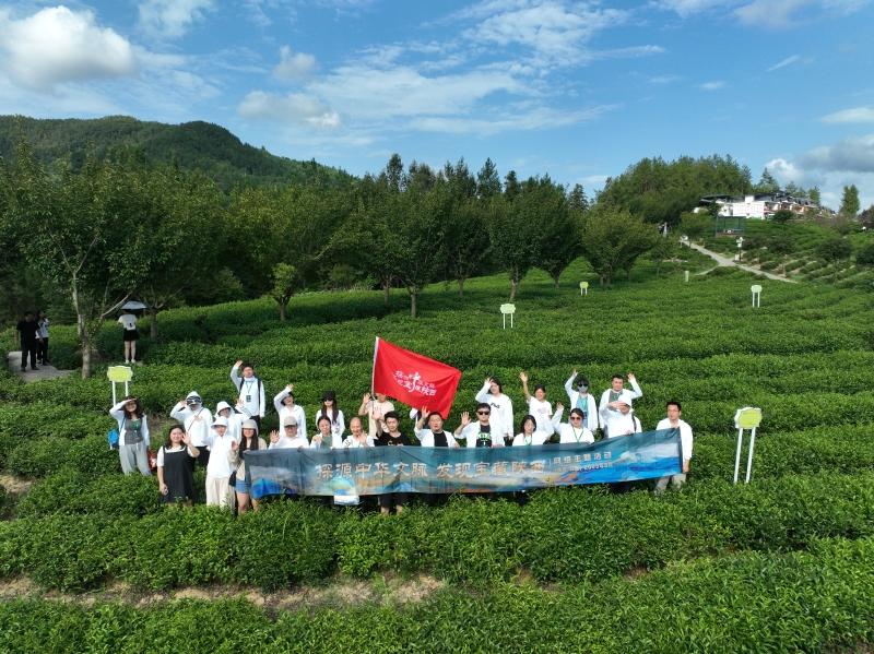 紫阳富硒龙潭茶