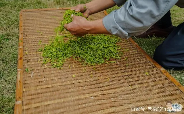 黄山毛峰富硒茶