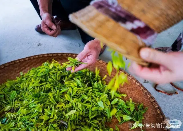 黄山毛峰富硒茶