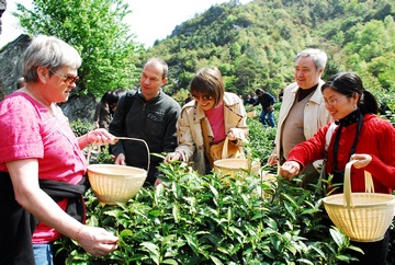 天方富硒有机茶