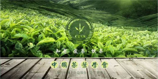 富硒紫阳茶文案