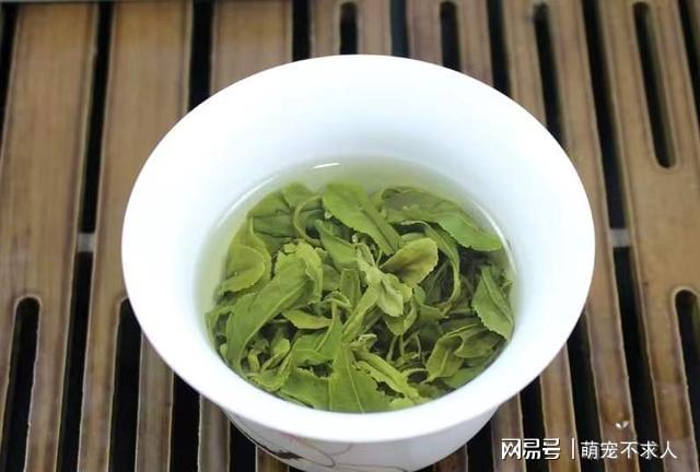 陕西富硒茶特点