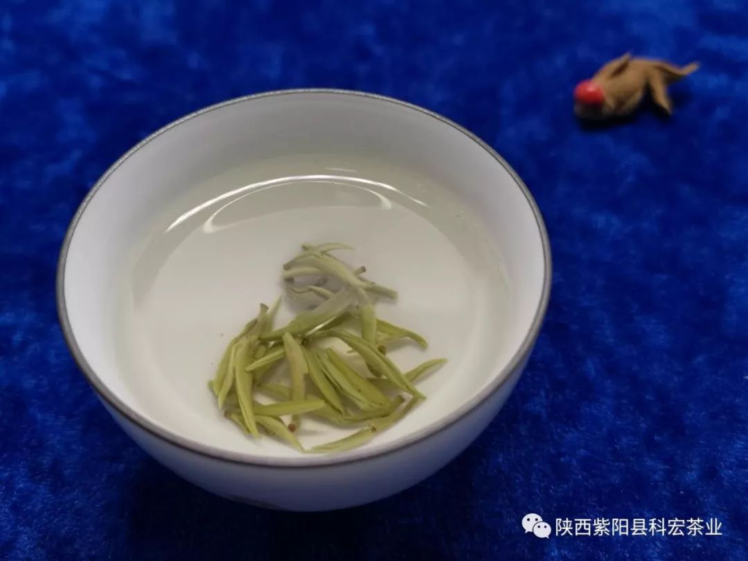 富硒茶冲泡颜色