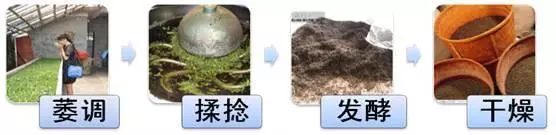 富硒茶冲泡颜色