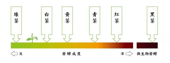 富硒茶冲泡颜色