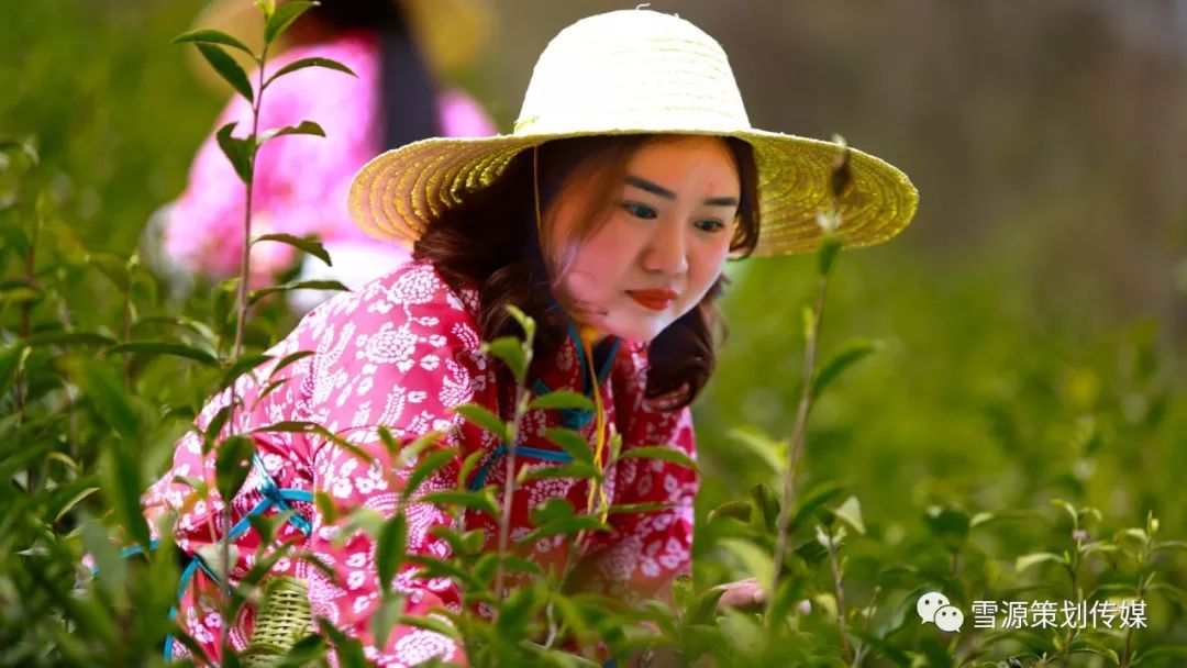 富硒茶线上销售