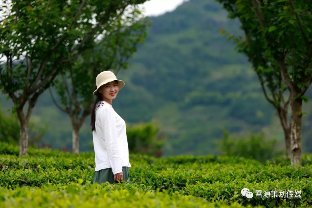 富硒茶线上销售