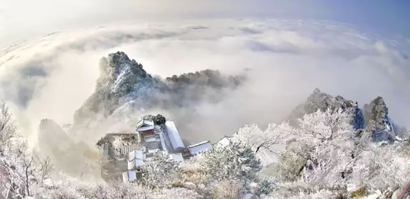 紫阳富硒茶本心